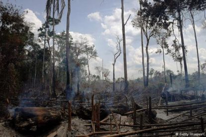 Pérdida de bosques en Venezuela según Clima21