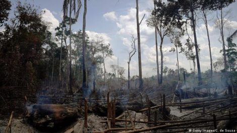 Pérdida de bosques en Venezuela según Clima21