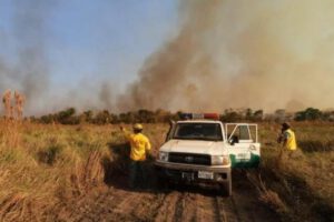 Incendios forestales en Santa Cruz