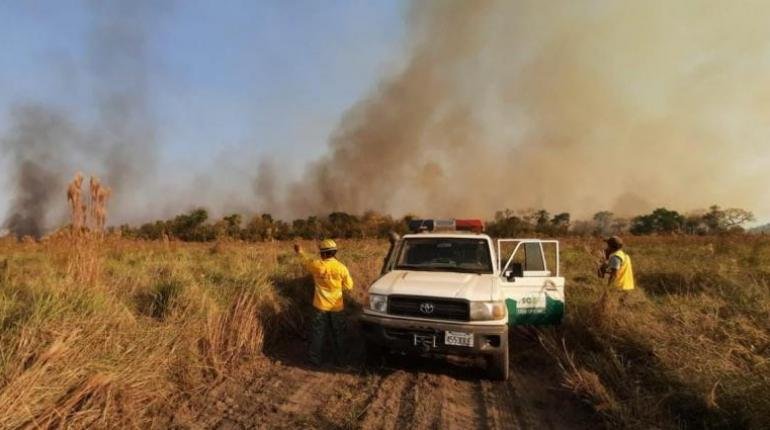 Incendios forestales en Santa Cruz