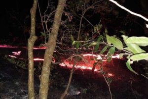 Incendios en el país en el Parque Nacional y Área Natural de Manejo Integrado Otuquis