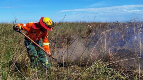 Incendios forestales en Bolivia