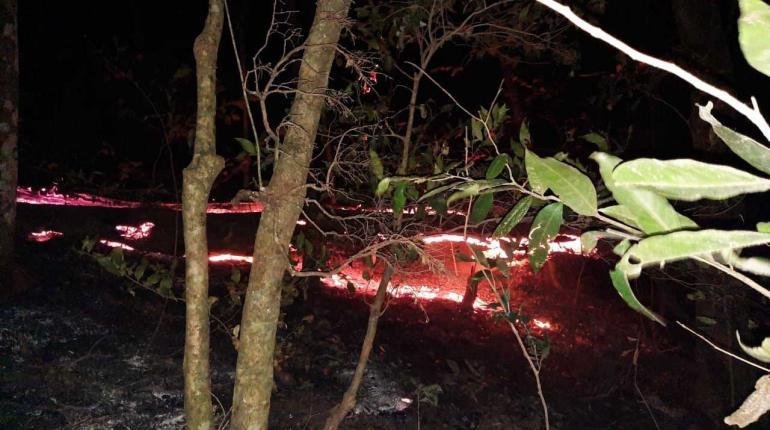 Incendios en Chiquitania afectan reservas naturales