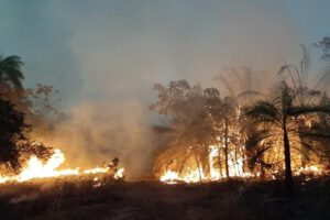 Incendios activos en Bolivia
