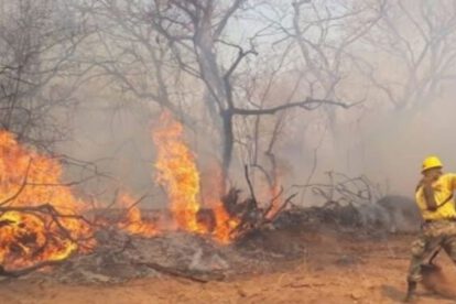 Incendios en Roboré