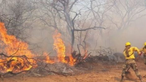 Incendios en Roboré