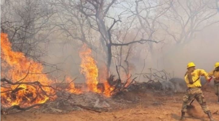 Incendios en Roboré
