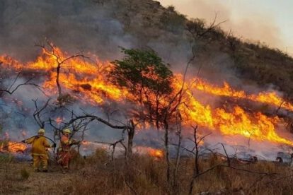 Incendios en Argentina ingresan a Bolivia por el Parque Aguaragüe