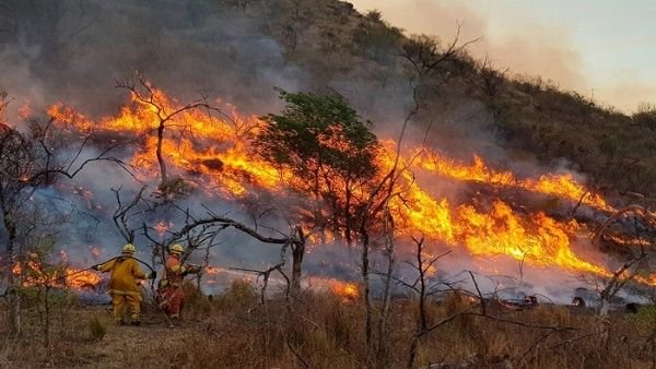 Incendios en Argentina ingresan a Bolivia por el Parque Aguaragüe