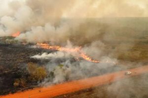 Incendios forestales en Santa Cruz