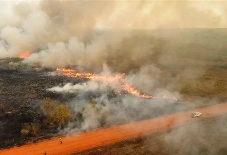 Incendios forestales en Santa Cruz