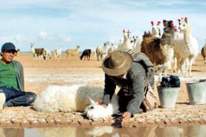 Utama película Bolivia Óscar