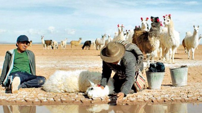 Utama película Bolivia Óscar