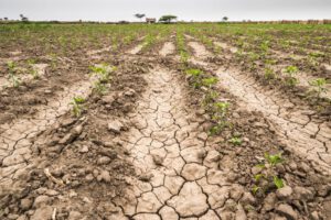 escasez de agua en Chuquisaca