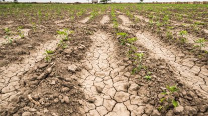 escasez de agua en Chuquisaca