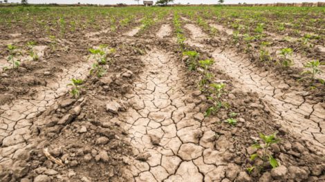 escasez de agua en Chuquisaca