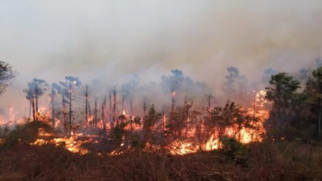 Focos de calor activos en Bolivia