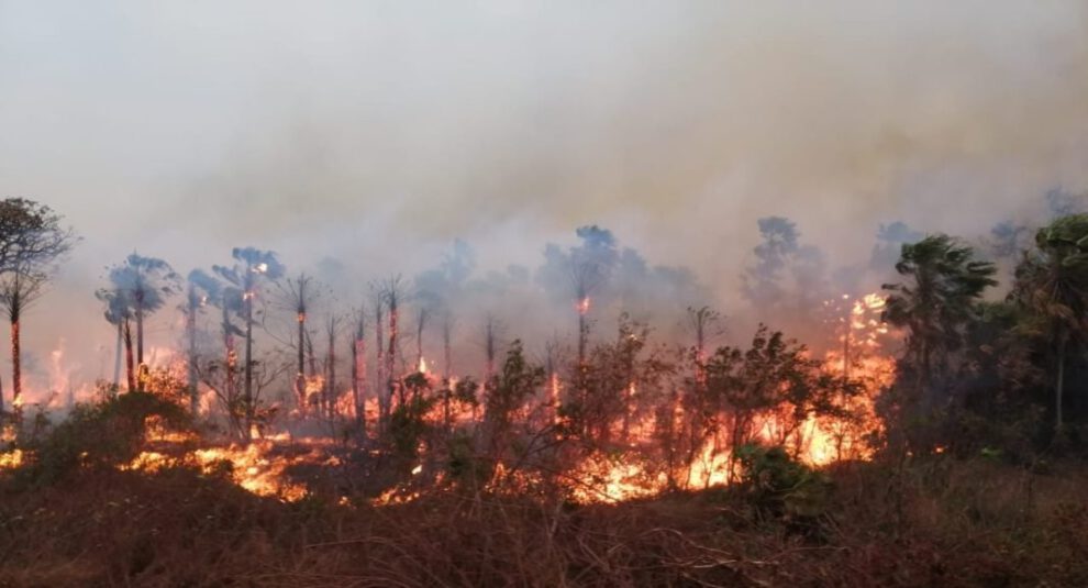 Focos de calor activos en Bolivia