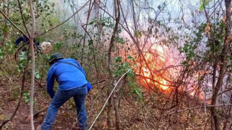 Incendio forestal Parque Aguaragüe consumió más de 1.500 hectáreas