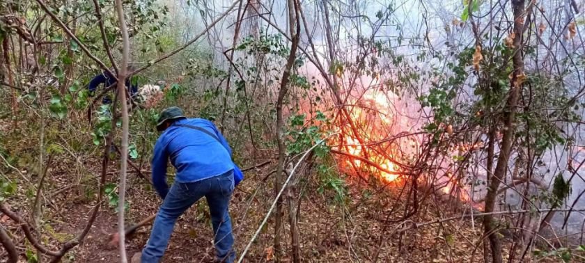Incendio forestal Parque Aguaragüe consumió más de 1.500 hectáreas
