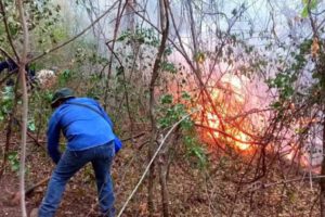 Incendio forestal en Tarija que consumió más de 1.500 hectáreas del Parque Aguaragüe