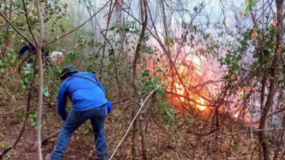 Incendio forestal en Tarija que consumió más de 1.500 hectáreas del Parque Aguaragüe