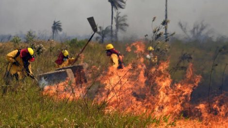 Bomberos tratando de contener un incendio forestal en el oriente del país