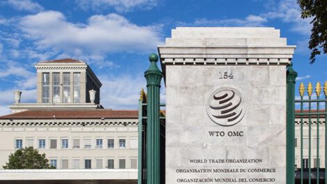 La recesión mundial según la Organización Mundial del Comercio