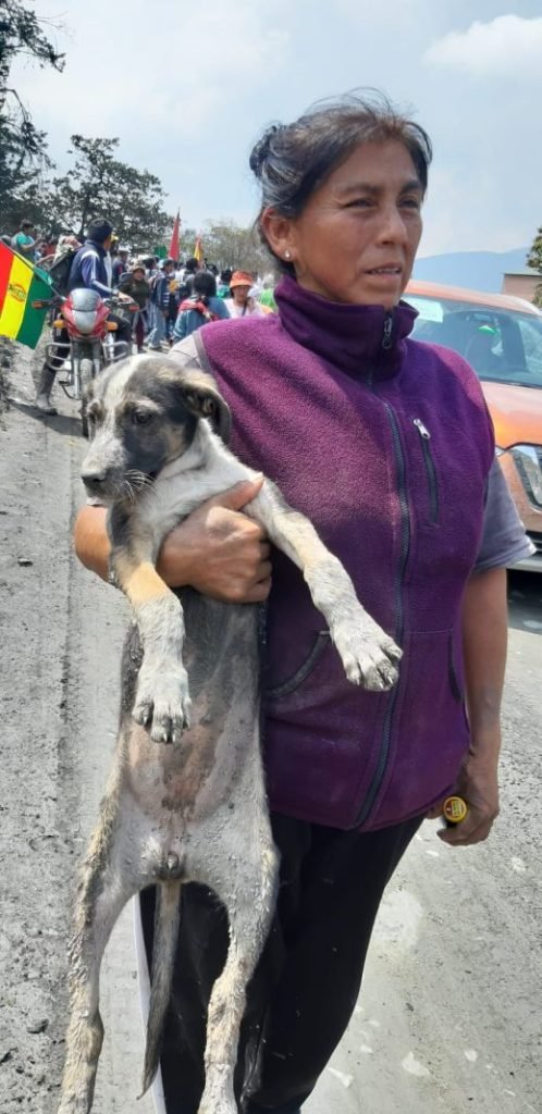 Aprehensión de Gudelia Botitano, secretaria general de Cofecay