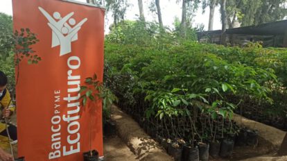 Ecofuturo apoya campaña de reforestación en Cochabamba