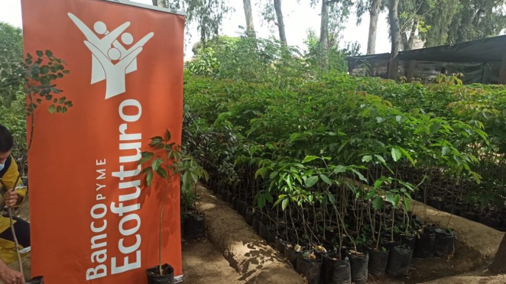 Ecofuturo apoya campaña de reforestación en Cochabamba
