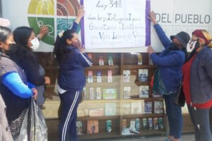 Integrantes del Colectivo Tejiendo Justicia piden acciones por la Ley 348