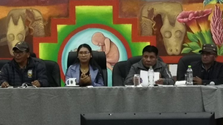Censo de Población y Vivienda propuesto por Eva Copa