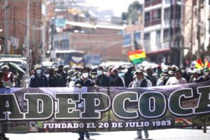 Adepcoca reorganiza su Comité de Autodefensa tras detención de sus dirigentes