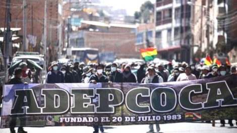Adepcoca reorganiza su Comité de Autodefensa tras detención de sus dirigentes