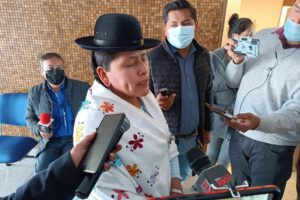 Extradición de Gonzalo Sánchez de Lozada según Virginia Velasco
