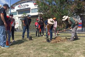 Ecofuturo y árboles en Cochabamba