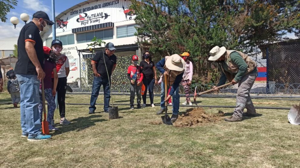 Ecofuturo y árboles en Cochabamba