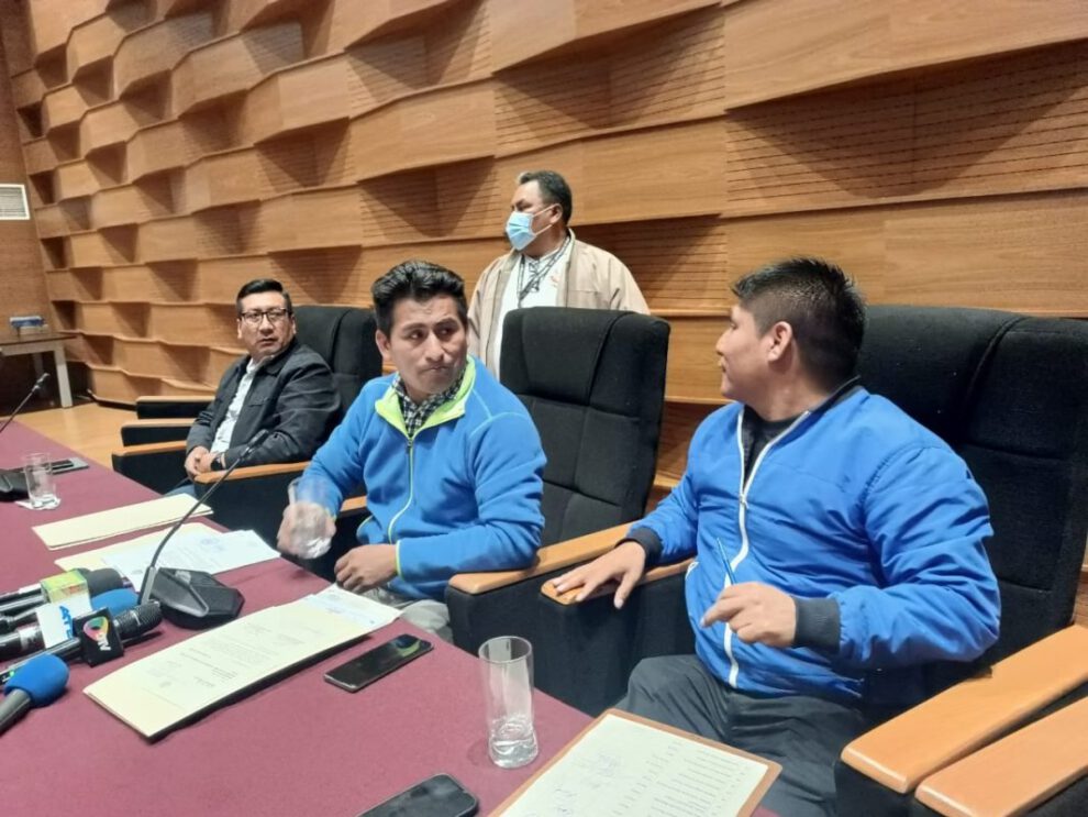 Inconstitucionalidad de la elección del nuevo jefe de bancada del MAS