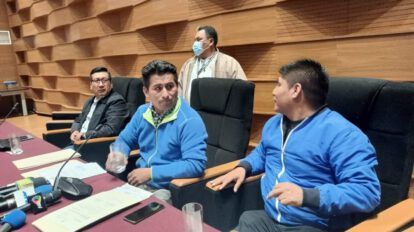 Inconstitucionalidad de la elección del nuevo jefe de bancada del MAS