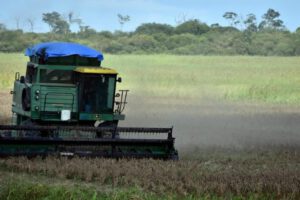 Campo de siembra en el oriente boliviano relacionado con la suspensión de exportaciones