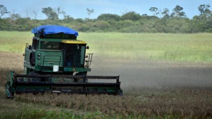 Campo de siembra en el oriente boliviano relacionado con la suspensión de exportaciones