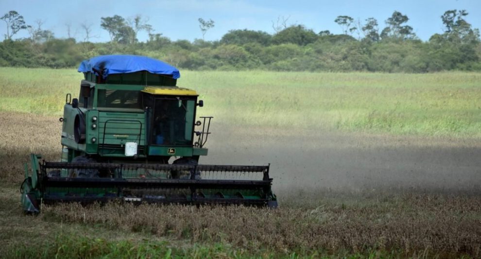 Campo de siembra en el oriente boliviano relacionado con la suspensión de exportaciones