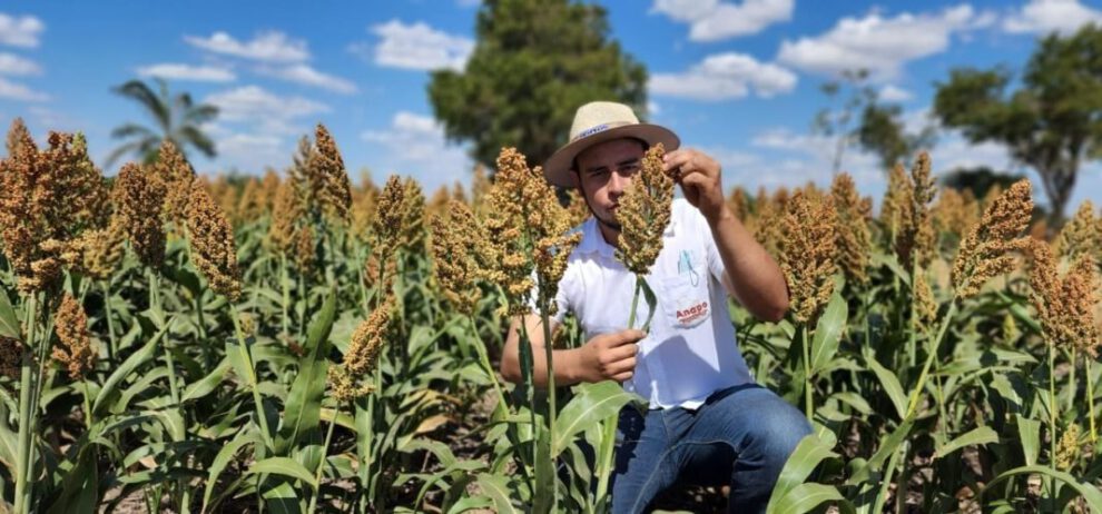 Anapo rechaza suspensión de exportaciones de soya