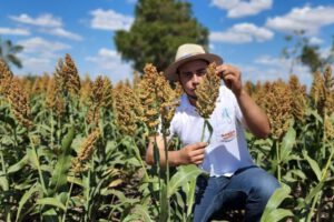 Anapo rechaza suspensión de exportaciones de soya