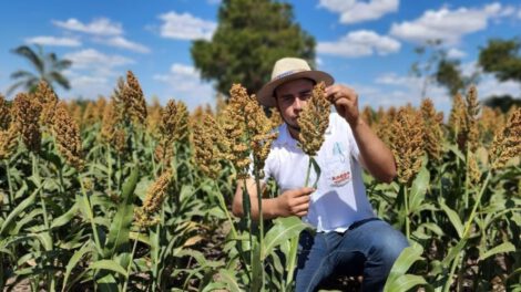 Anapo rechaza suspensión de exportaciones de soya
