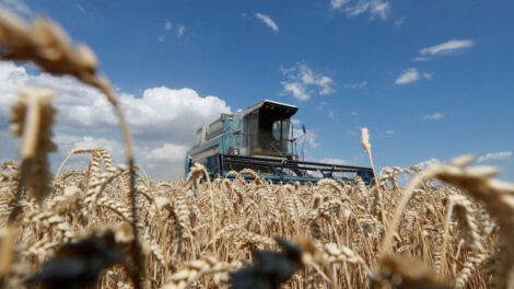 Precios de trigo y maíz tras salida de Rusia del acuerdo de granos del mar Negro