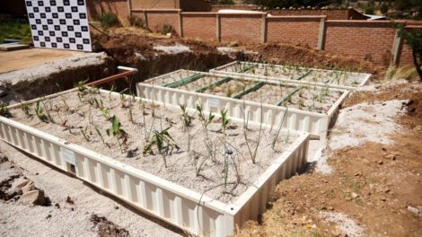 Filtración de agua a través de medios naturales