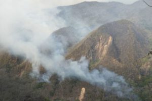 Incendios forestales Parque Nacional Iñao