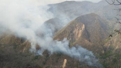 Incendios forestales Parque Nacional Iñao
